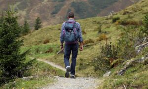 hermann mountaineering 455338 1920