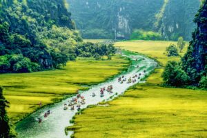 nghi123mt ninh binh 5205212 1920