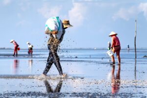 pexels quang nguyen vinh 222549 12386428