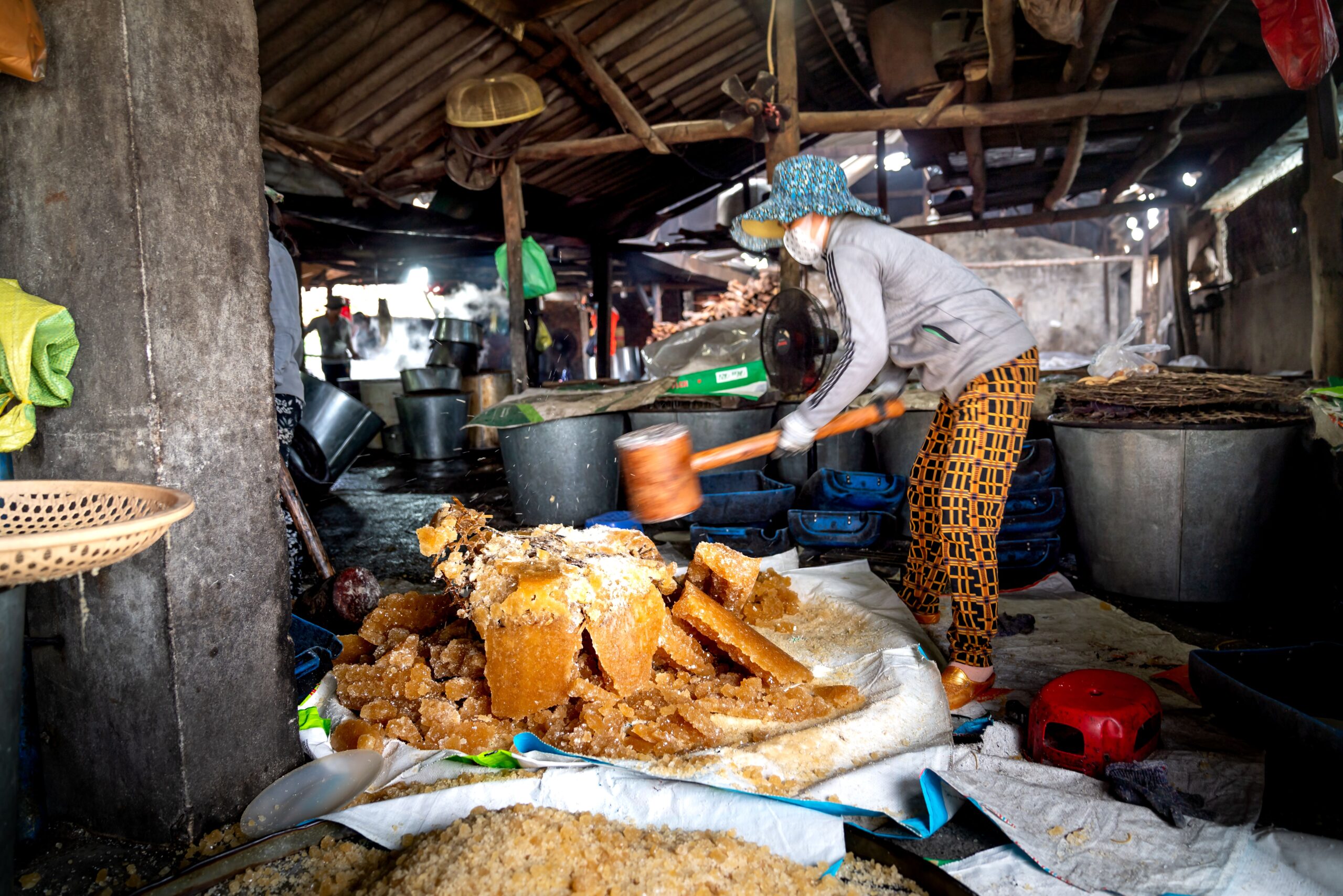pexels quang nguyen vinh 222549 13746823 scaled