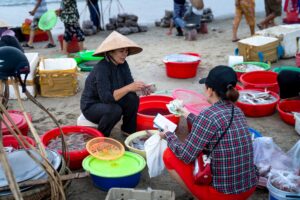 pexels quang nguyen vinh 222549 3871747