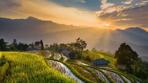 tieubaotruong field 9295186 1920